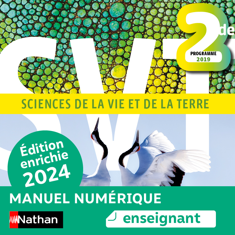 SVT -  2de