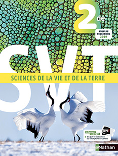SVT -  2de